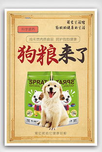 TIF分層寵物用品宣傳海報(bào) 專業(yè)設(shè)計(jì)的完美之選